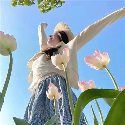 大丹麦狗马默杜克