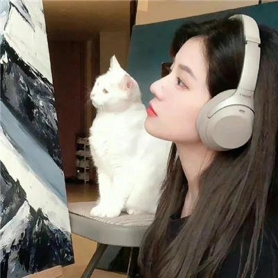 水星领航员 The AVVENIRE